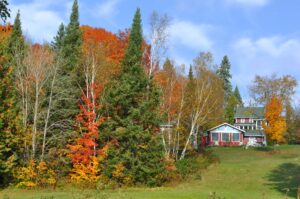 Fall Colours at Billie Bear Resort