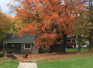 Billie Bear Resort Cabin in the Fall