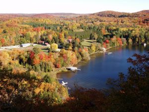 Bondi Village Autumn