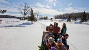Horse Drawn Sleigh Rides at Deerhurst Resort