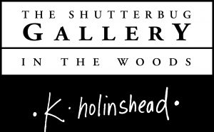 The Shutterbug Gallery Logo